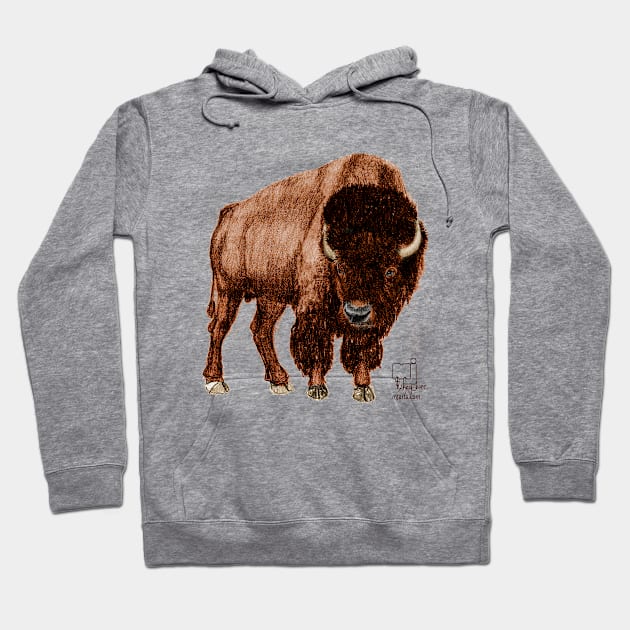 Bison Hoodie by mjartscom